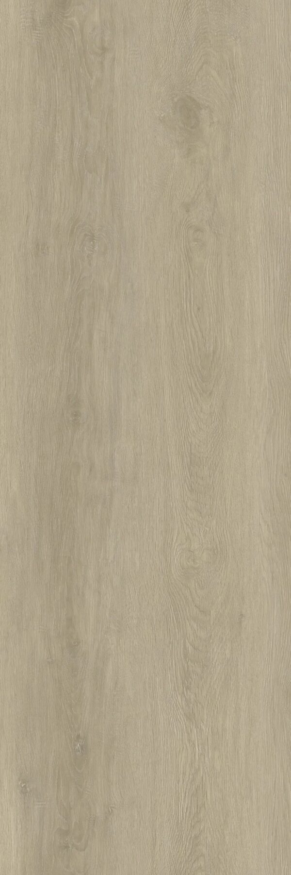 Light wood - Houten wandpanelen - 2700 x 450 mm - 1,21 m2